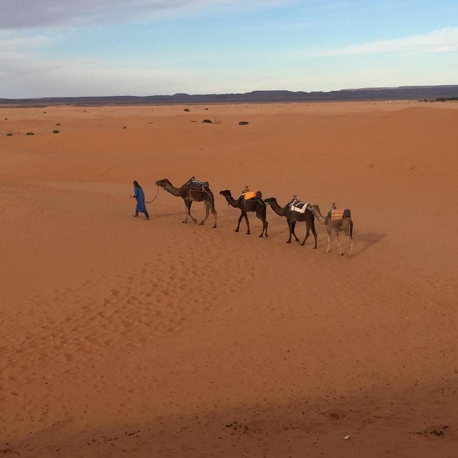 Auberge Sahara Garden Lac Yasmins Exteriör bild